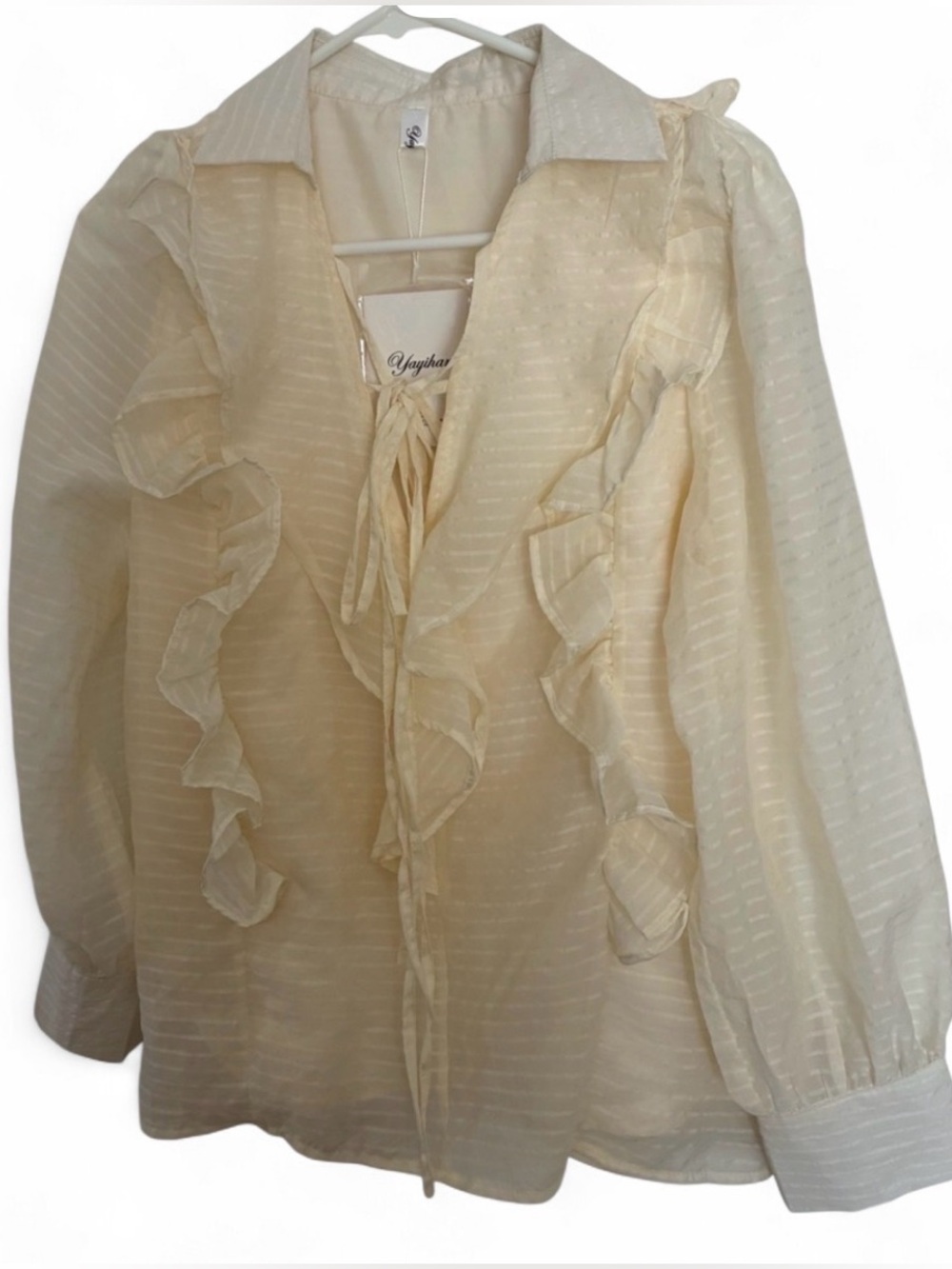 Sheer Ruffle Tie-Front Blouse in Cream